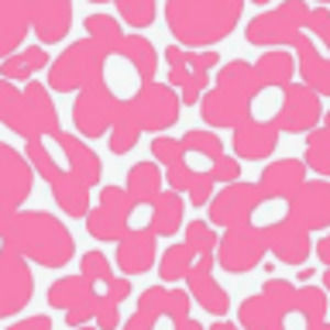 Meet your Posher, Phoebe